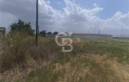 AKHİSAR MANİSA YOLU ÜZERİNDE KAPAKLI MAHALLESİNDE SATILIK 10491 M2 GAYRİMENKUL