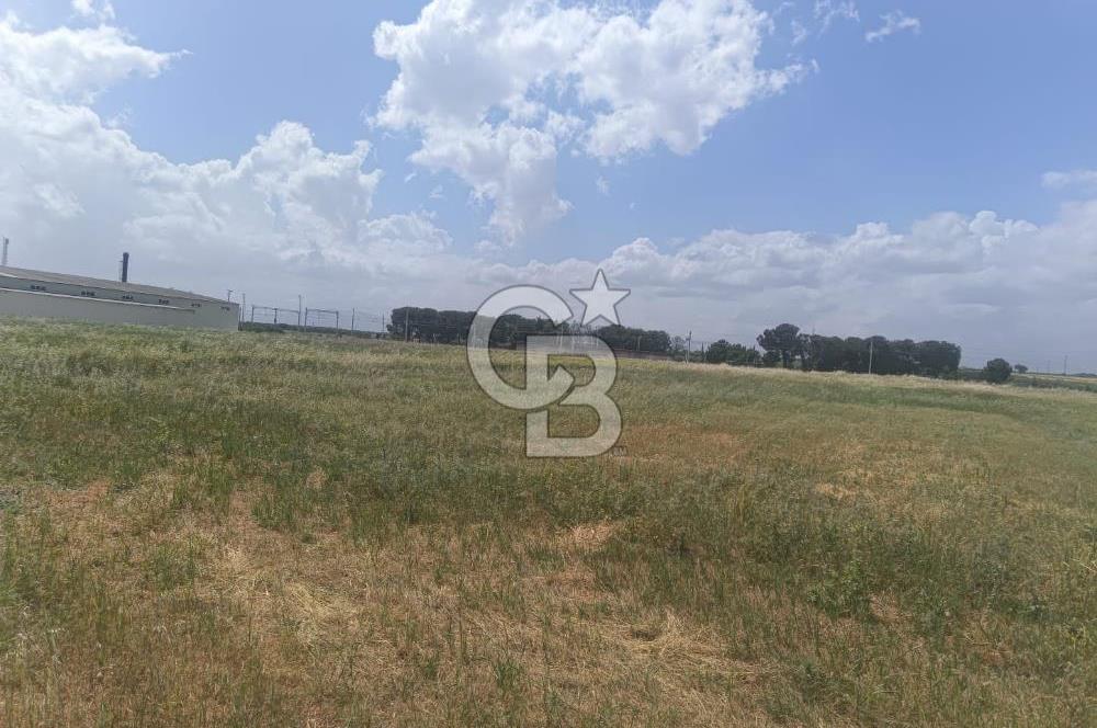 AKHİSAR MANİSA YOLU ÜZERİNDE KAPAKLI MAHALLESİNDE SATILIK 10491 M2 GAYRİMENKUL
