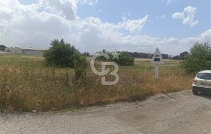 AKHİSAR MANİSA YOLU ÜZERİNDE KAPAKLI MAHALLESİNDE SATILIK 10491 M2 GAYRİMENKUL