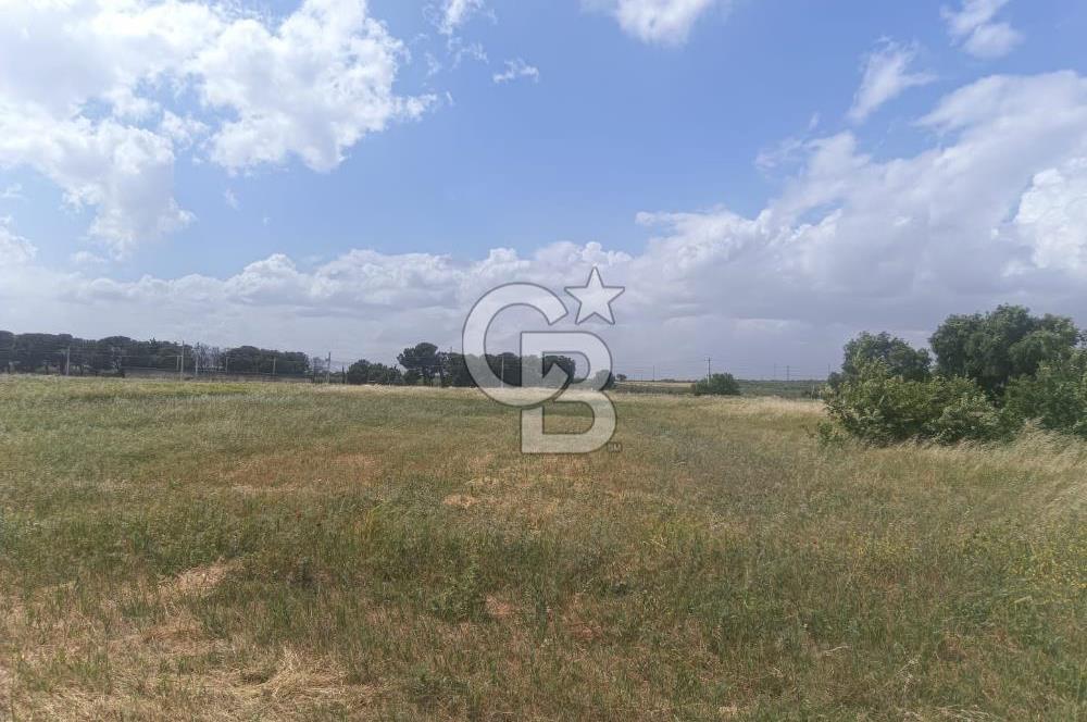AKHİSAR MANİSA YOLU ÜZERİNDE KAPAKLI MAHALLESİNDE SATILIK 10491 M2 GAYRİMENKUL