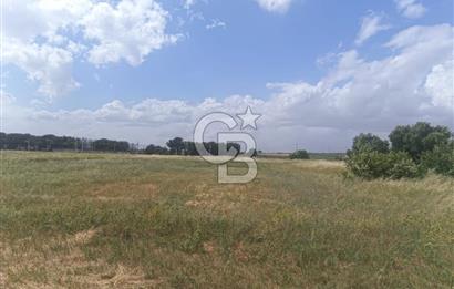 AKHİSAR MANİSA YOLU ÜZERİNDE KAPAKLI MAHALLESİNDE SATILIK 10491 M2 GAYRİMENKUL