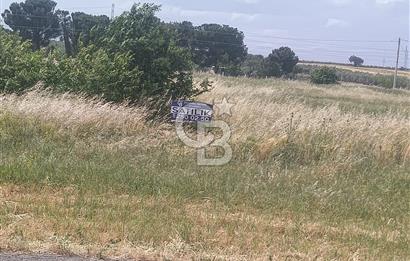 AKHİSAR MANİSA YOLU ÜZERİNDE KAPAKLI MAHALLESİNDE SATILIK 10491 M2 GAYRİMENKUL