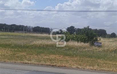 AKHİSAR MANİSA YOLU ÜZERİNDE KAPAKLI MAHALLESİNDE SATILIK 10491 M2 GAYRİMENKUL