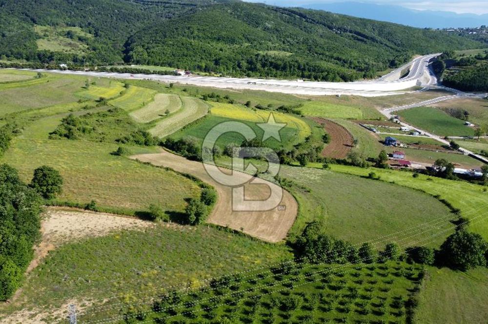 CB AKADEMİ KISALAR MH KANDIRA YOLUNA 200 MT SATILIK TARLA