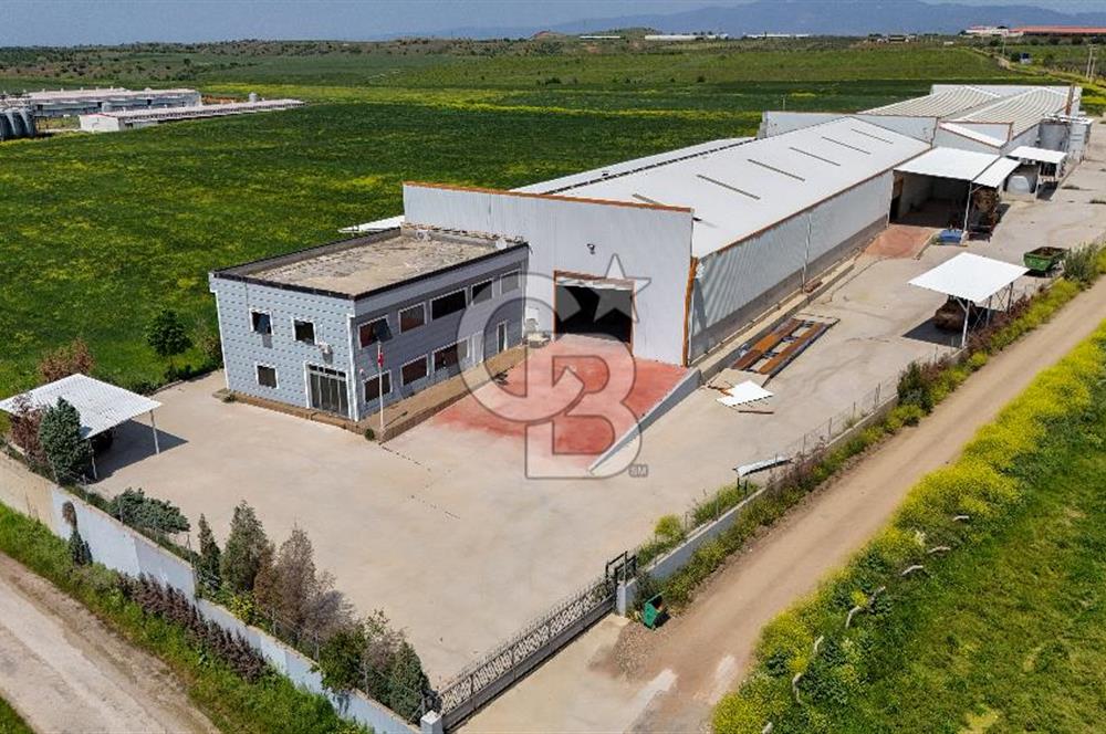 Turgutlu Kiralık 11.110 m2 Depo