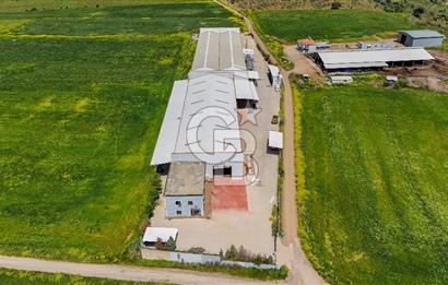 Turgutlu Kiralık 11.110 m2 Depo