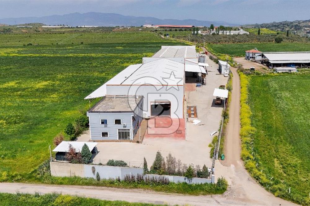 Turgutlu Kiralık 11.110 m2 Depo
