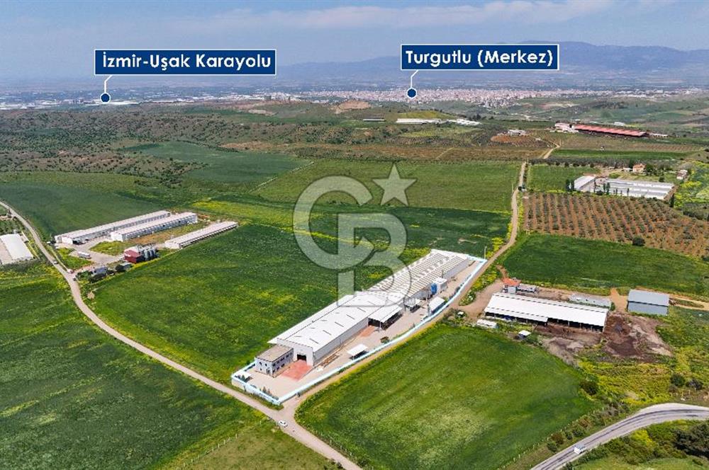 Turgutlu Kiralık 11.110 m2 Depo
