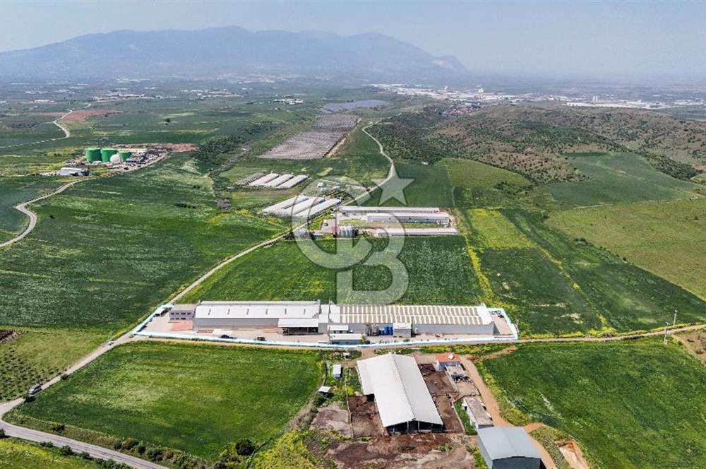 Turgutlu Kiralık 11.110 m2 Depo