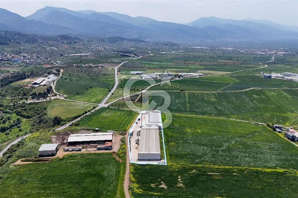 Turgutlu Kiralık 11.110 m2 Depo