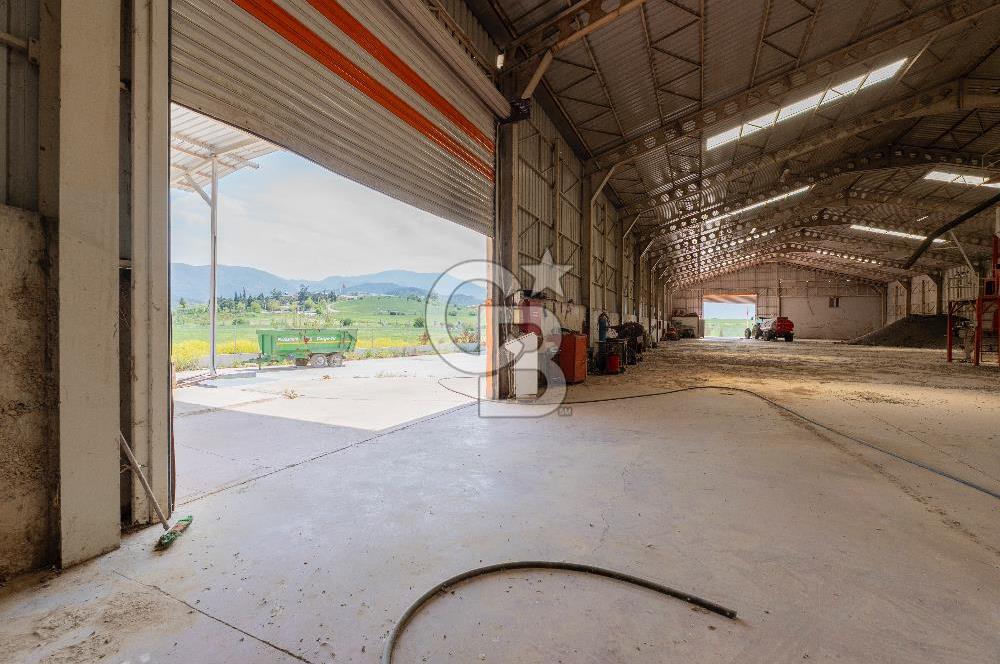 Turgutlu Kiralık 11.110 m2 Depo
