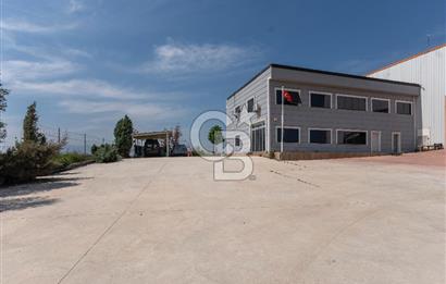 Turgutlu Kiralık 11.110 m2 Depo