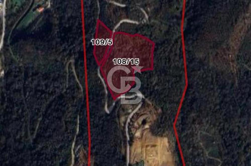 SAPANCA BALKAYA KÖYÜNDE GÖL MANZARALI DOĞA HARİKASı ARSA !!!