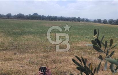 Akhisar Kapaklı' da Satılık Fırsat Arsa