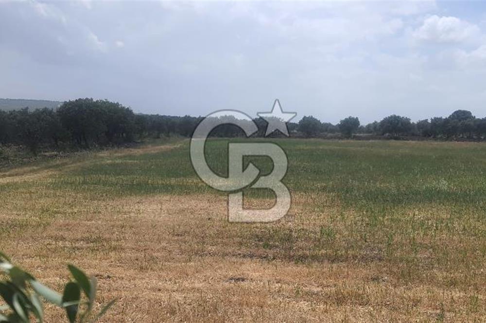Akhisar Kapaklı' da Satılık Fırsat Arsa