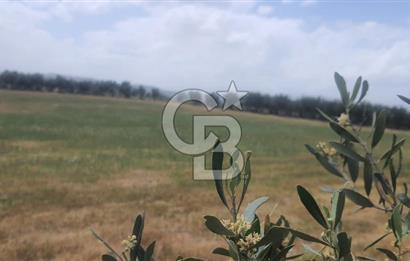 Akhisar Kapaklı' da Satılık Fırsat Arsa