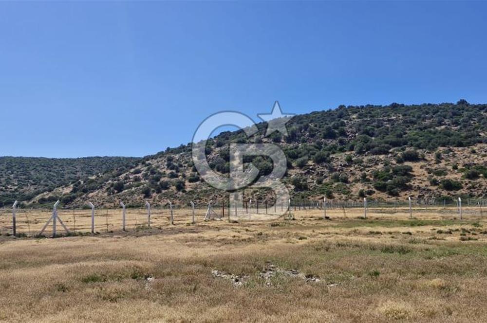 Foça Yenibağarası'nda Bağımsız Tapulu Yatırım Fırsatlı Tarla