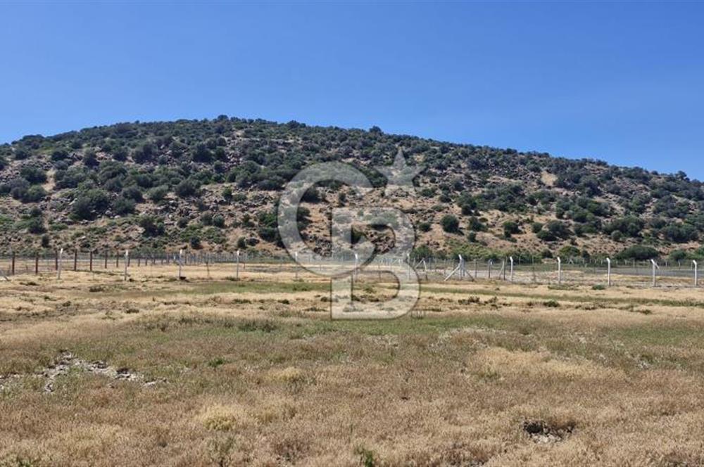 Foça Yenibağarası'nda Bağımsız Tapulu Yatırım Fırsatlı Tarla