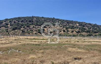 Foça Yenibağarası'nda Bağımsız Tapulu Yatırım Fırsatlı Tarla
