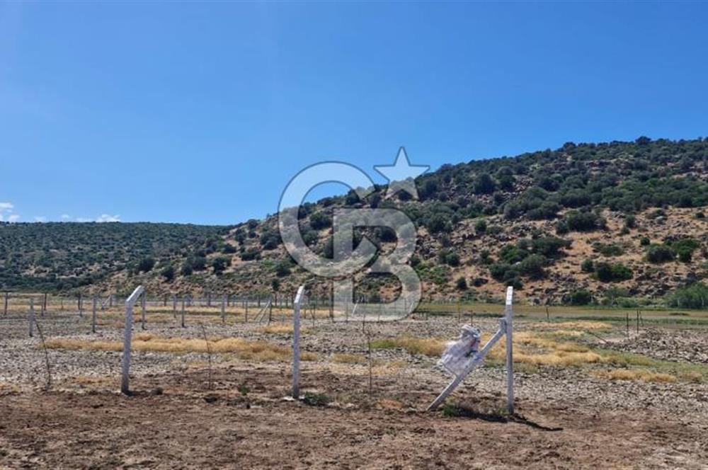 Foça Yenibağarası'nda Bağımsız Tapulu Yatırım Fırsatlı Tarla