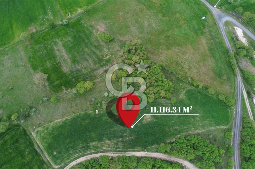 ÇANAKKALE LAPSEKİ BEYÇAYIR KÖY SINIRINDA SATILIK ARAZİ