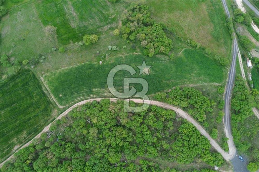 ÇANAKKALE LAPSEKİ BEYÇAYIR KÖY SINIRINDA SATILIK ARAZİ