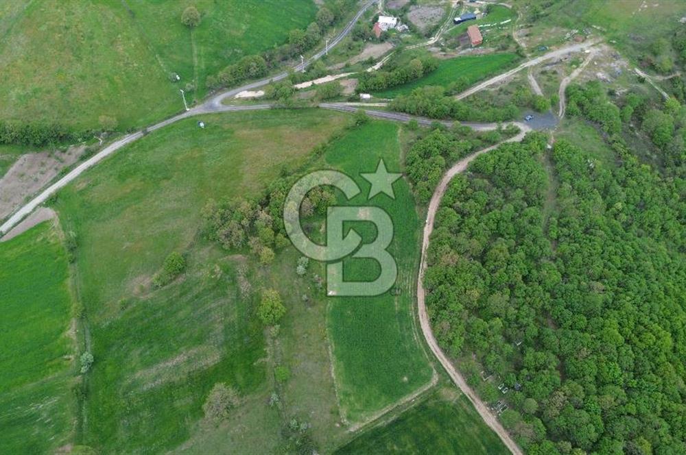 ÇANAKKALE LAPSEKİ BEYÇAYIR KÖY SINIRINDA SATILIK ARAZİ