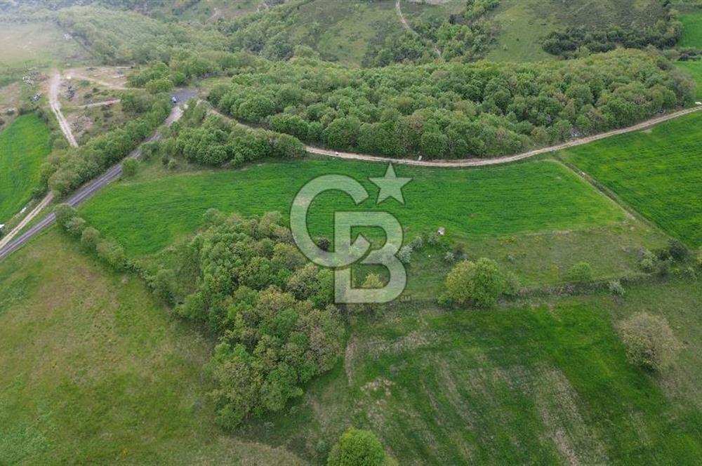 ÇANAKKALE LAPSEKİ BEYÇAYIR KÖY SINIRINDA SATILIK ARAZİ
