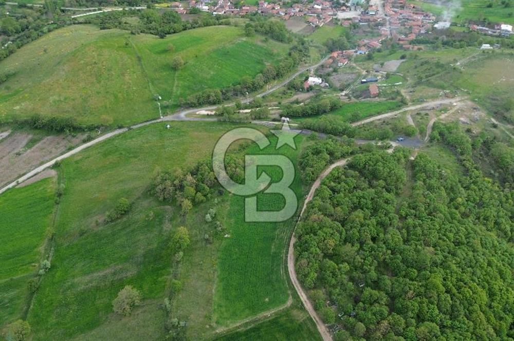 ÇANAKKALE LAPSEKİ BEYÇAYIR KÖY SINIRINDA SATILIK ARAZİ