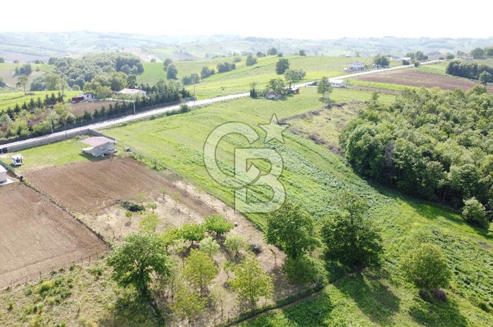 İzmit Çağırgan' da Anayol Cepheli Emsalsiz Satılık Parsel