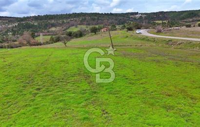 LAPSEKİ KOCABAŞLARDA ASFALATA CEPHE 10 DÖNÜM TARLA