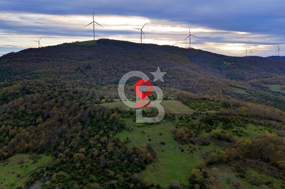 LAPSEKİ KIRCALAR DA KIRAN TEPENİN YAMACINDA 11 DÖNÜM TARLA