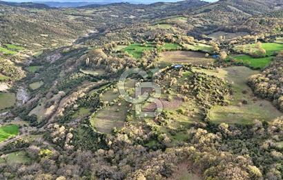 LAPSEKİDE DOĞA İLE İÇ İÇE RESMİ YOLU OLAN 15329 M² ARAZİ