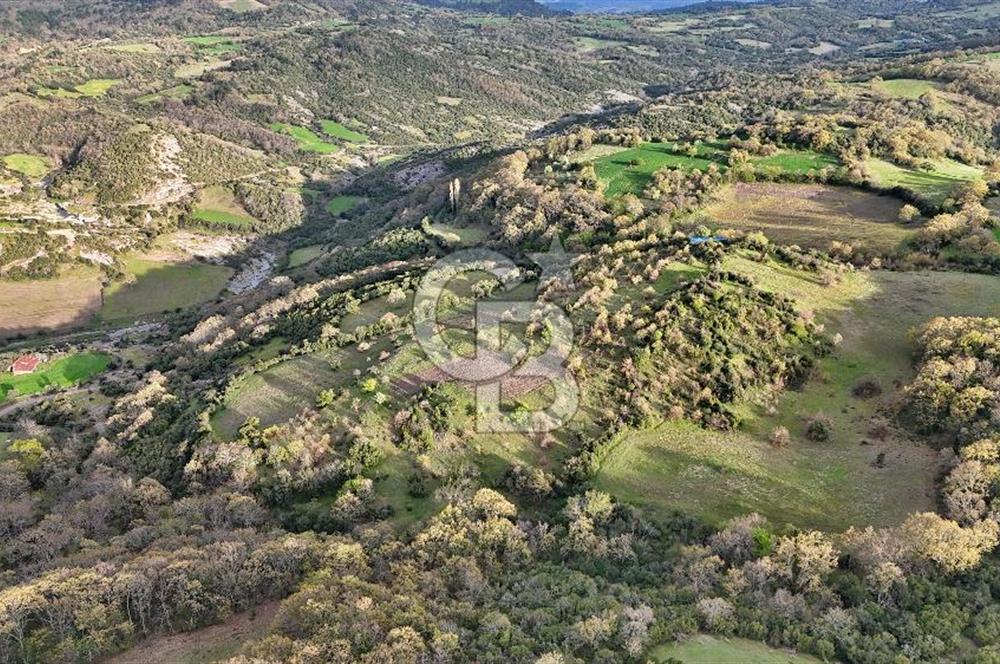 LAPSEKİDE DOĞA İLE İÇ İÇE RESMİ YOLU OLAN 15329 M² ARAZİ