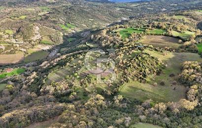 LAPSEKİDE DOĞA İLE İÇ İÇE RESMİ YOLU OLAN 15329 M² ARAZİ