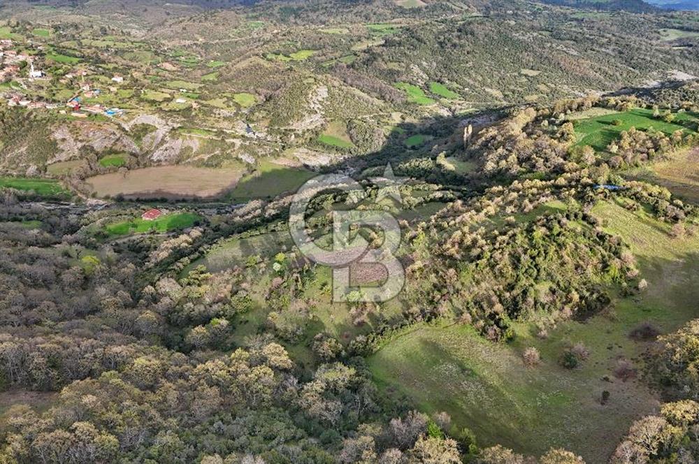 LAPSEKİDE DOĞA İLE İÇ İÇE RESMİ YOLU OLAN 15329 M² ARAZİ