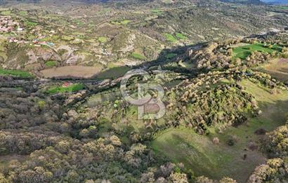 LAPSEKİDE DOĞA İLE İÇ İÇE RESMİ YOLU OLAN 15329 M² ARAZİ