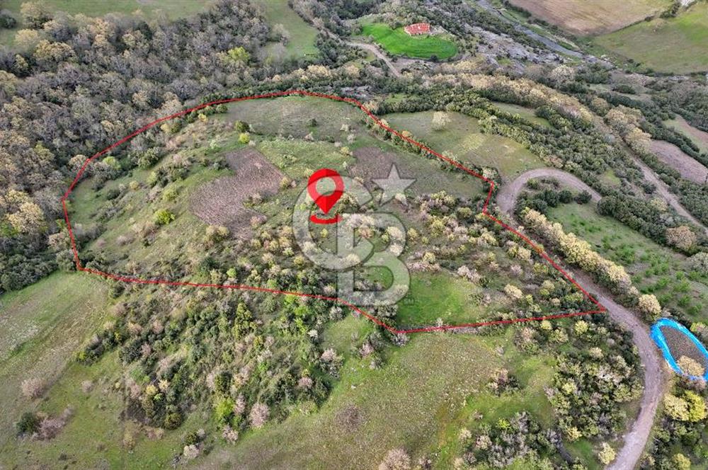 LAPSEKİDE DOĞA İLE İÇ İÇE RESMİ YOLU OLAN 15329 M² ARAZİ