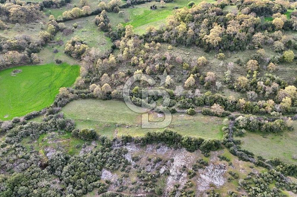 LAPSEKİ KIRCALARDA 3209 M² TARLA