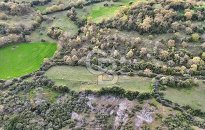 LAPSEKİ KIRCALARDA 3209 M² TARLA