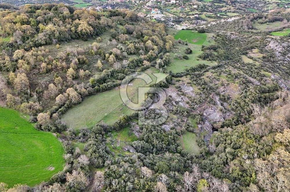 LAPSEKİ KIRCALARDA 3209 M² TARLA