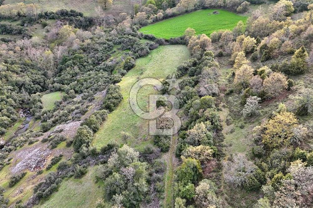 LAPSEKİ KIRCALARDA 3209 M² TARLA