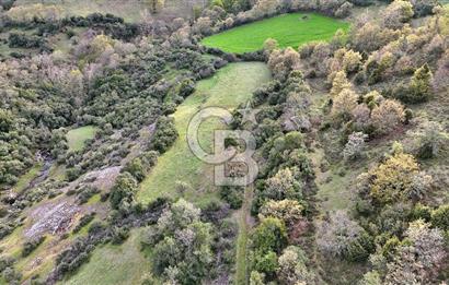 LAPSEKİ KIRCALARDA 3209 M² TARLA