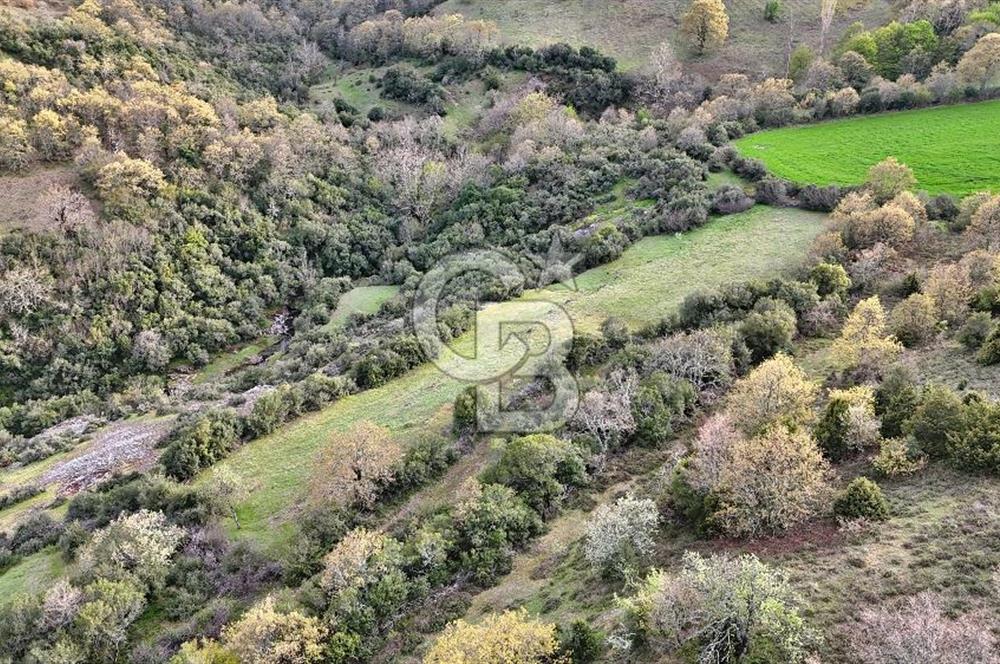 LAPSEKİ KIRCALARDA 3209 M² TARLA