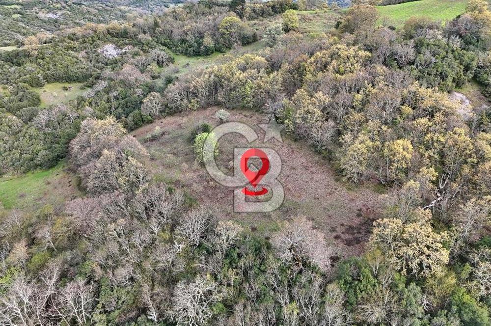 LAPSEKİ KIRCALARDA 2224 M² TARLA