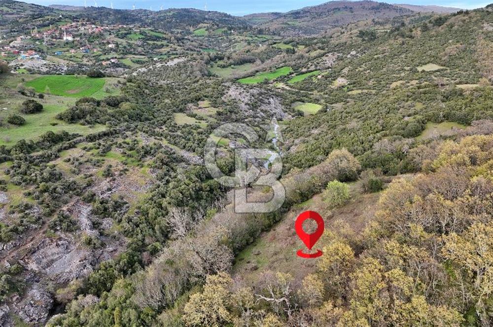 LAPSEKİ KIRCALARDA 2224 M² TARLA