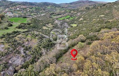LAPSEKİ KIRCALARDA 2224 M² TARLA