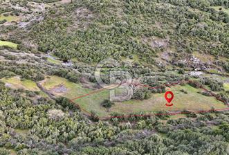 LAPSEKİ KIRCALARDA 1117 M² TARLA