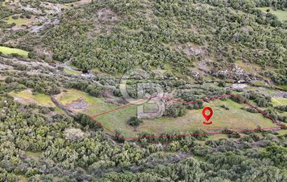 LAPSEKİ KIRCALARDA 1117 M² TARLA