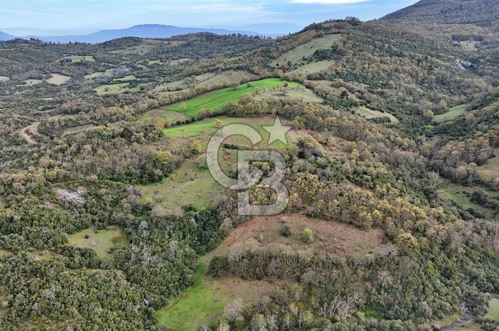 LAPSEKİ KIRCALARDA 2224 M² TARLA